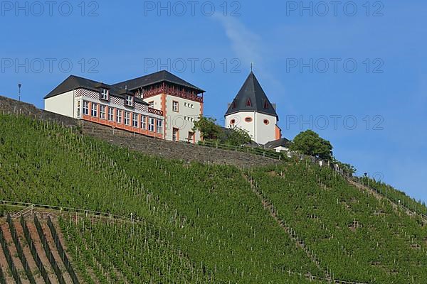 Marienburg above the vineyards near Puenderich