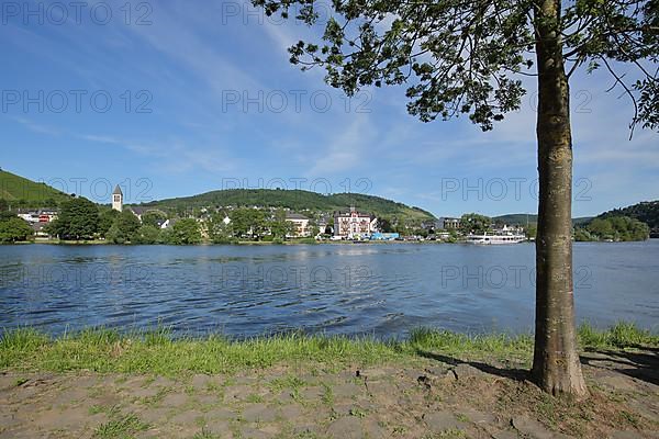 View over the Moselle to Bullay