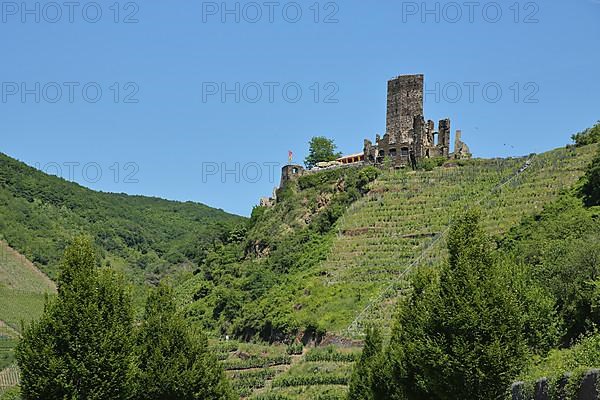 Metternich Castle in Beilstein