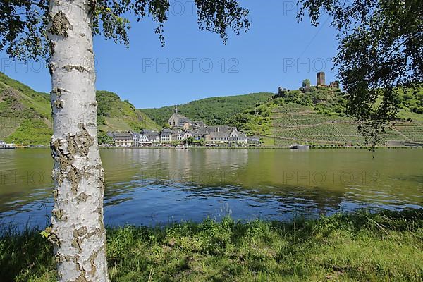 View over the Moselle to Beilstein with Metternich Castle