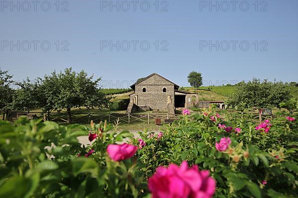 Roman ancient and reconstructed archaeological Villa Urban in Longuich