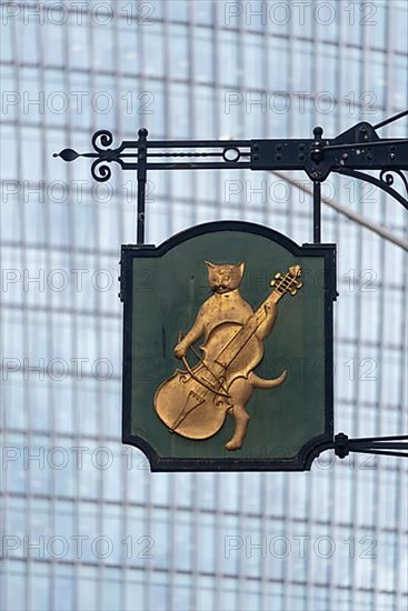 Cat playing double bass