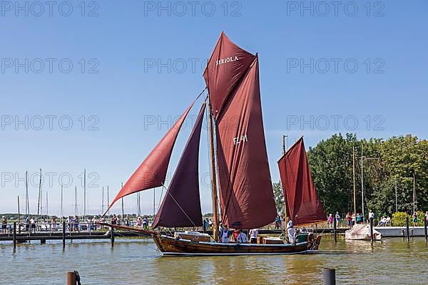 Zeesboot in the harbour