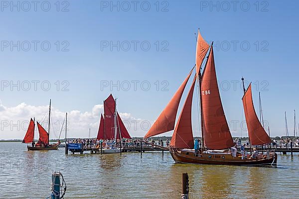 Zeesboote in the harbour