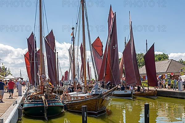 Zeesboote in the harbour