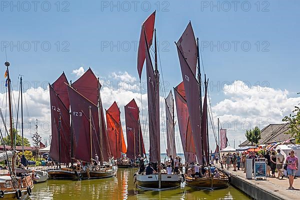 Zeesboote in the harbour