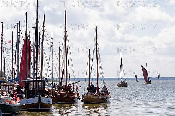 Zeesboote in the harbour