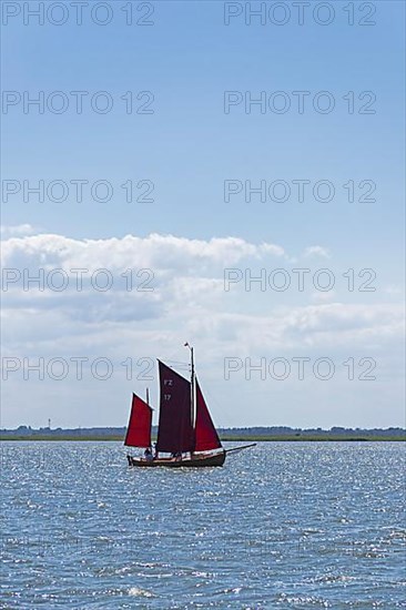 Zeesboot Regatta