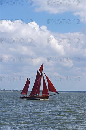 Zeesboot Regatta