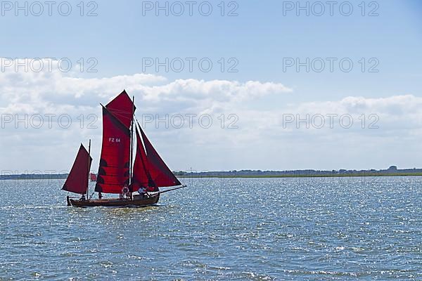 Zeesboot Regatta