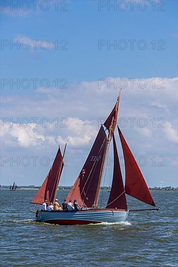 Zeesboot Regatta