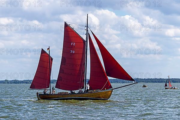 Zeesboot Regatta