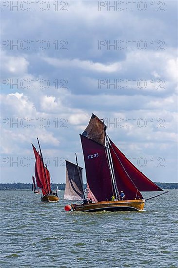 Zeesboot Regatta