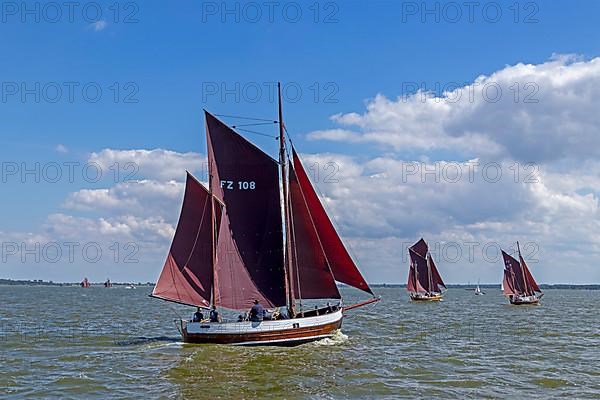 Zeesboot Regatta