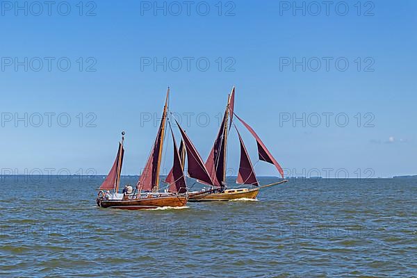 Zeesboot Regatta