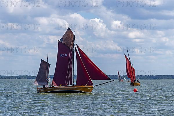 Zeesboot Regatta