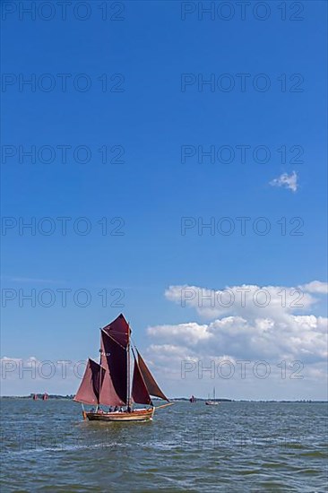 Zeesboot Regatta