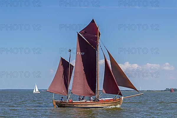 Zeesboot Regatta