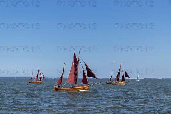 Zeesboot Regatta