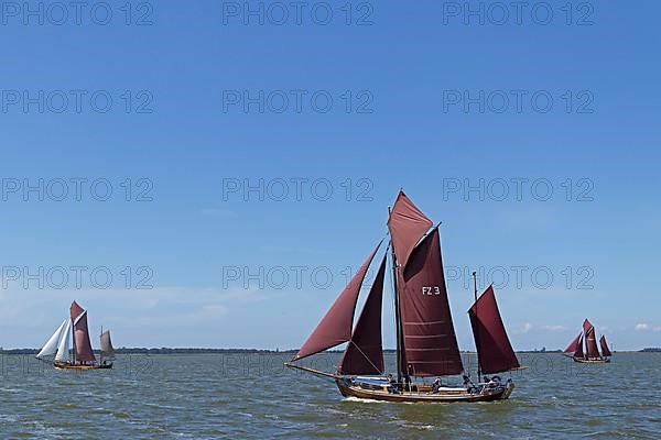 Zeesboot Regatta