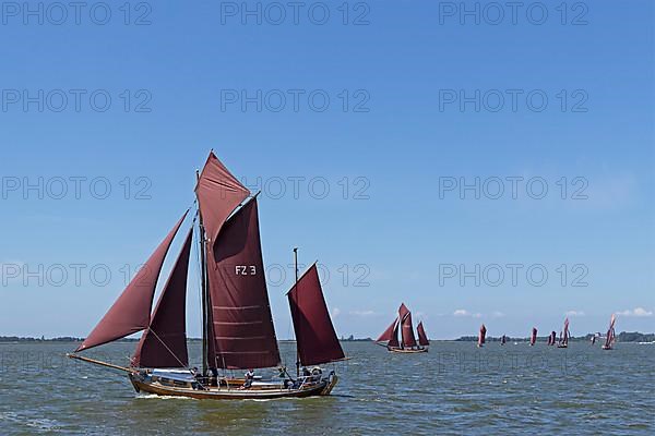 Zeesboot Regatta