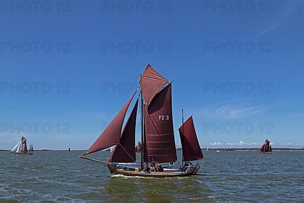 Zeesboot Regatta