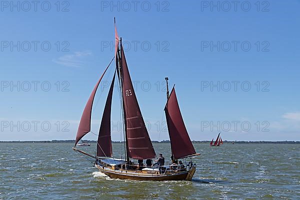 Zeesboot Regatta