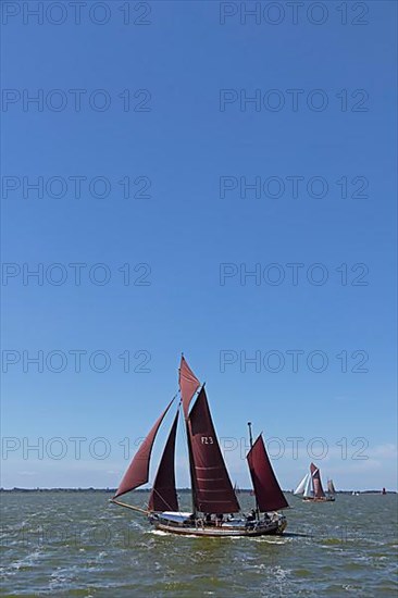 Zeesboot Regatta