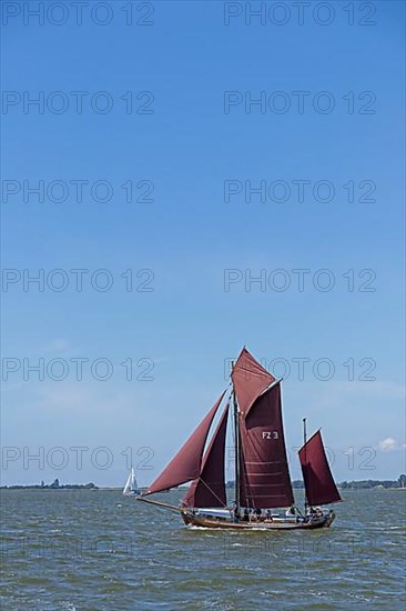 Zeesboot Regatta