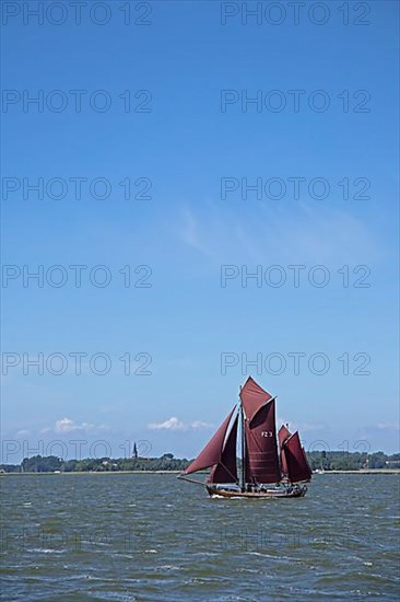 Zeesboot Regatta