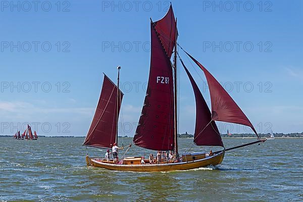 Zeesboot Regatta