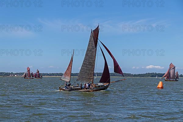 Zeesboot Regatta