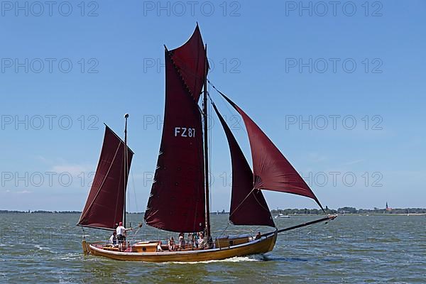 Zeesboot Regatta