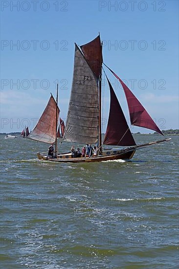 Zeesboot Regatta