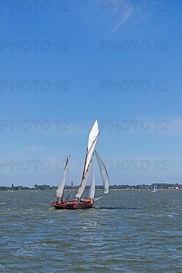 Zeesboot Regatta