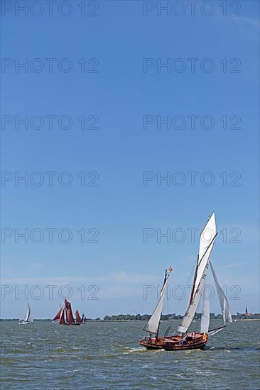 Zeesboot Regatta