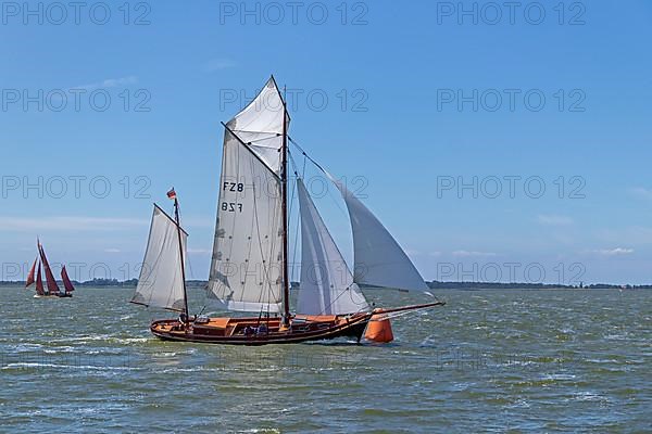 Zeesboot Regatta