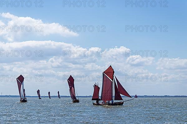 Zeesboot Regatta