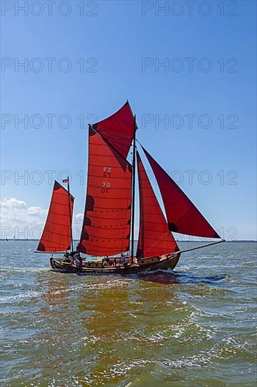 Zeesboot Regatta