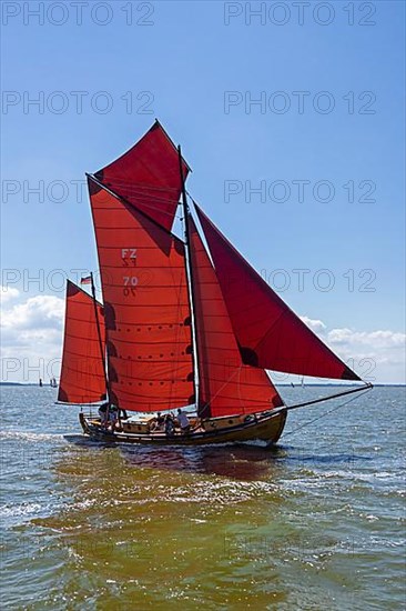 Zeesboot Regatta