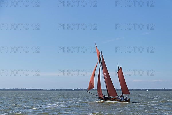 Zeesboot Regatta