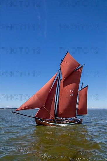 Zeesboot Regatta