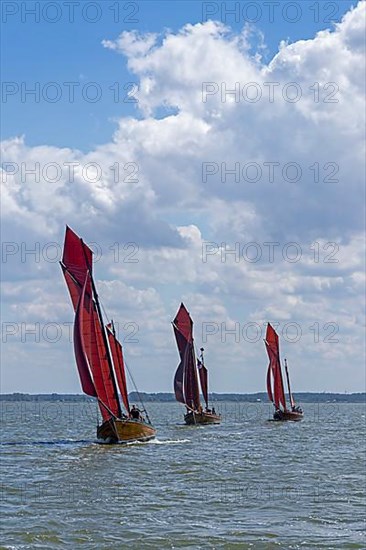 Zeesboot Regatta