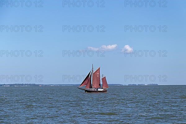 Zeesboot Regatta