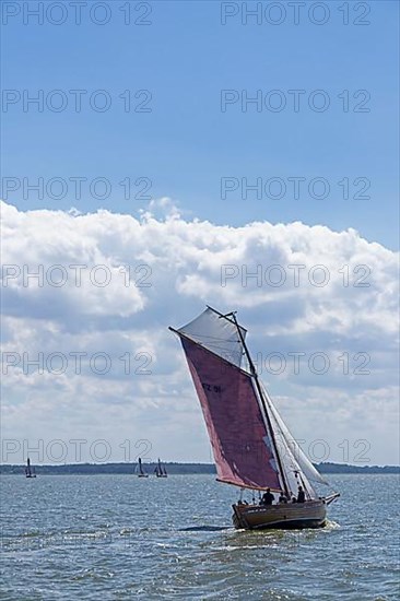 Zeesboot Regatta