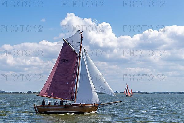 Zeesboot Regatta