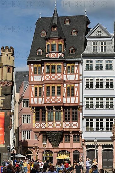 Half-timbered houses