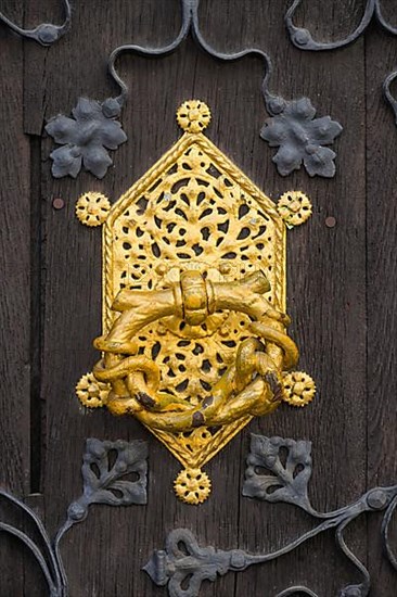 Golden door handle