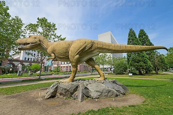 Tyrannosaurus Rex in front of the Senckenberg Museum