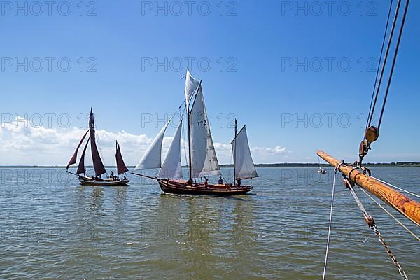 Zeesboot Regatta